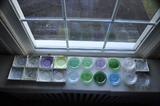 Collection of 30 Thorton Burgess Animal Friends Sandwich Glass Cup Plates.