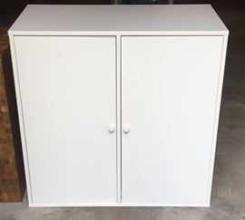 Floor Cabinet with shelves inside