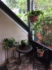House and Garden Plants. 