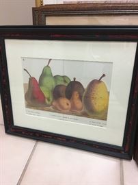 One of two antique fruit prints
