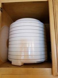 large dehydrator