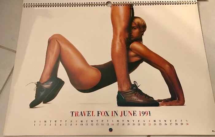 Large Travel Fox calendar