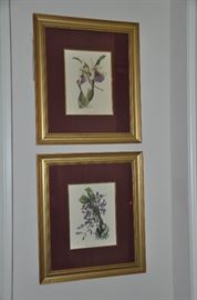 Matted and framed floral pictures 14.5 x 16.5 