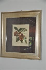Framed and matted vintage botanical print 22" x 24" 