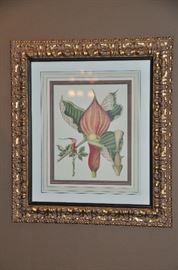 Gold baroque frame triple matted botanical 27” w x 23.5” 