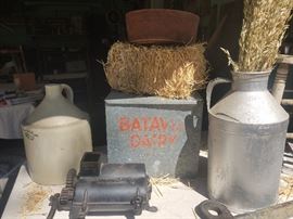 Batavia Dairy items