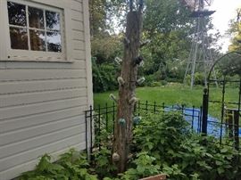 telephone pole with glass insulators