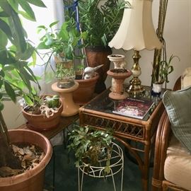 Assorted houseplants, lamps, rattan end table.