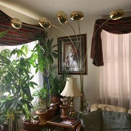 Fun 5-arm lamp, live plants.