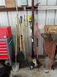 Week 2 Item,  Starts 6-21-2018