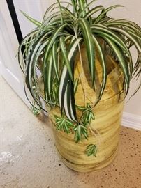 Week 2 Item,  Starts 6-21-2018