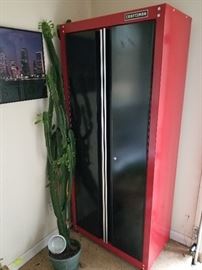 Week 2 Item,  Starts 6-21-2018