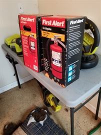 For Sale on Week 1, This Thursday- Sat