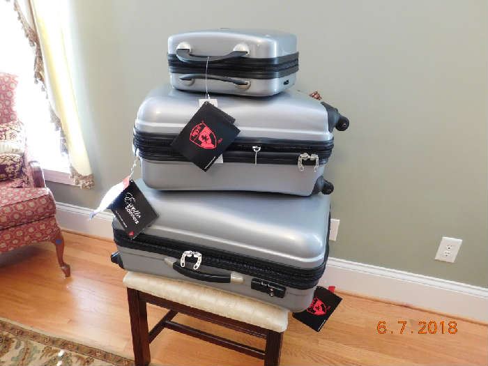 New set of hard case luggage.