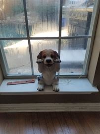 WINDOW DOG