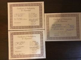 COA and past appraisal for ~Paris La Nuit~