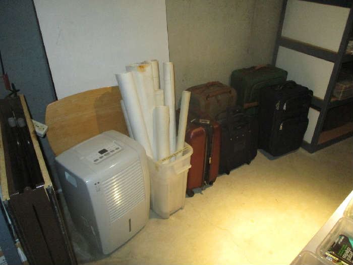 Luggage and dehumidifier