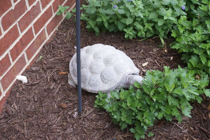 Outdoor garden Tortoise 