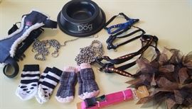 assortment of dog accessories (including grippy socks!)