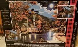 cool paint by numbers kit