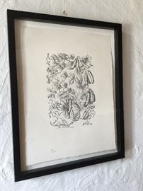 Botanical Art measures 14 1/4" x 10 3/4".   Number 91/400