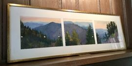 Tripych by Disney...each piece measures 10"H x 14"W...17 1/4"H x 501/4"W with frame)