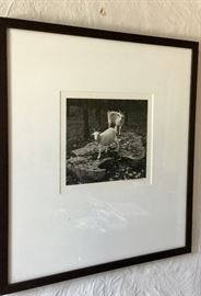 Maria Von Matthison signed photograph