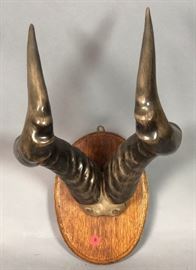Lot 157 Pr Mounted HARTEBEEST HORNS. Mounted on oval wood