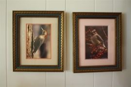 Framed Photos by M.F. Baumer