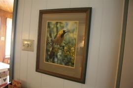 Framed Photo by M.F. Baumer