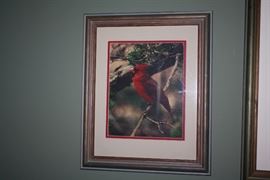 Framed Photo b M.F. Baumer