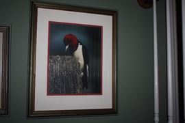 Framed Photo by M.F. Baumer