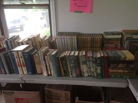 Books 5 dollars a bag