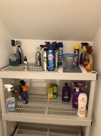 Cleaning supplies and plastic shelving
