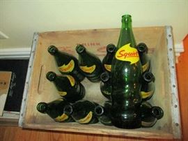 SQUIRT BOTTLES