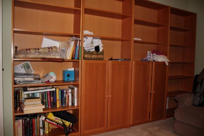Shelves and Cabinets with Books
