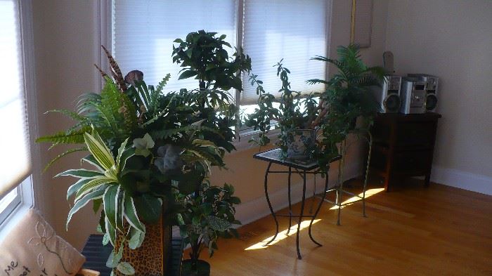 PLANTS AND STANDS