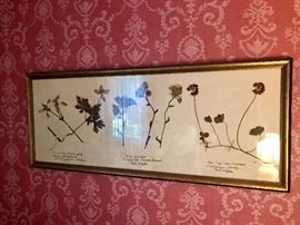 Quite interesting! Pressed botanicals.