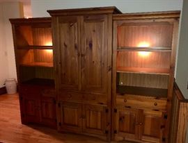 Lighted Bookshelves and Entertainment Center