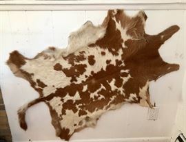 Cow hide