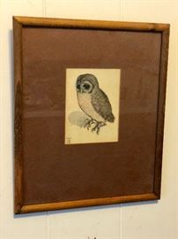 Small owl etching