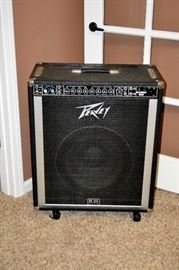 Bass guitar amp