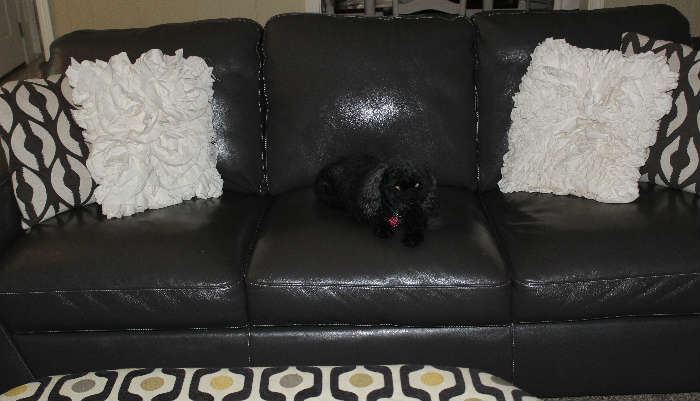 Gray leather chair with my sweet Smokey, ready for the sale.