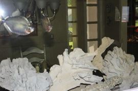 The large fish tank with all the little fishes.