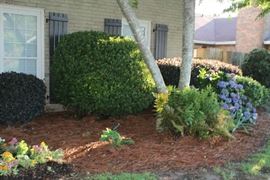 Close-up of the side of house.