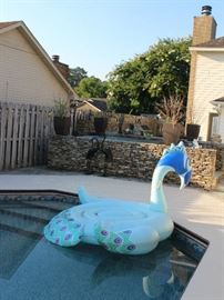 Love the big bird in the pool.