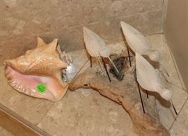 Big shell and handmade birds on drift wood in bath.
