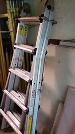 multi-position ladder