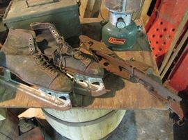 The ice skates and blades