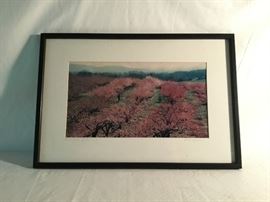 Albemarle Peach Orchard Framed Picture                https://ctbids.com/#!/description/share/26790